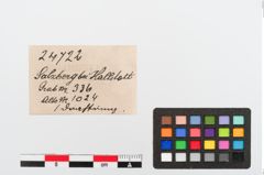 Etiketten zu Bronzearmreif (NHMW-PRAE-024722)
